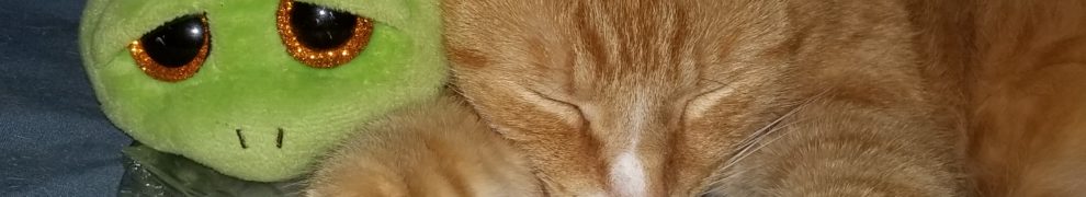 Orange cat sleeping next to green toy.